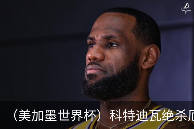 （美加墨世界杯）科特迪瓦绝杀厄瓜多尔 瑞典5:1大胜突尼斯