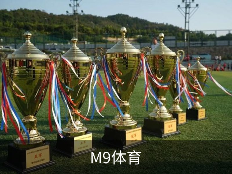 M9体育概况